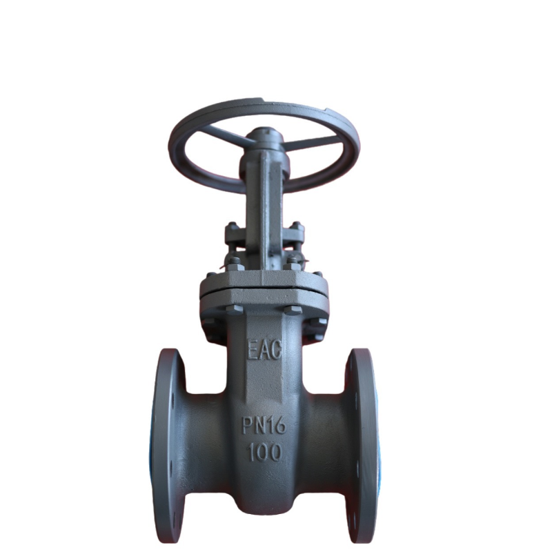 Russian standard gate valve