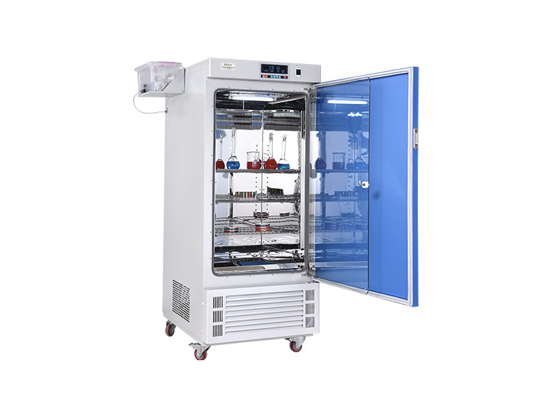 Constant temperature and humidity incubator