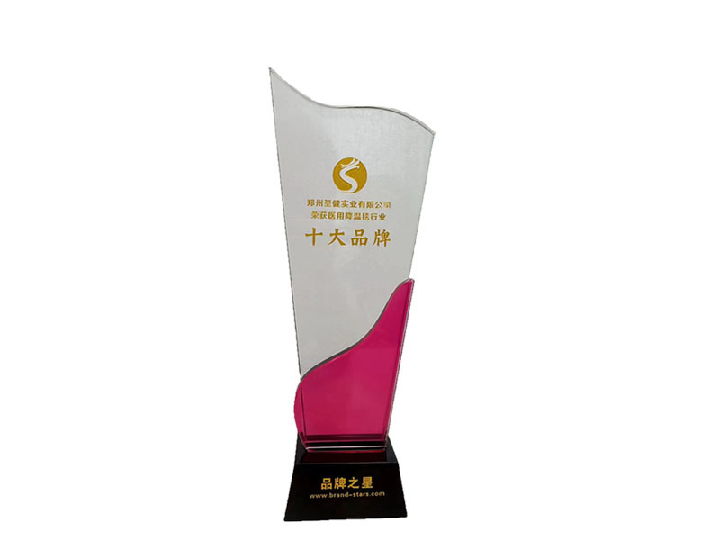 十大品牌奖杯