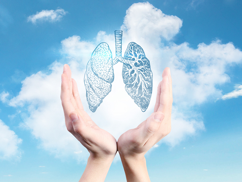 Atmospheric Negative Oxygen Ions and Their Variation Patterns in Different Environments