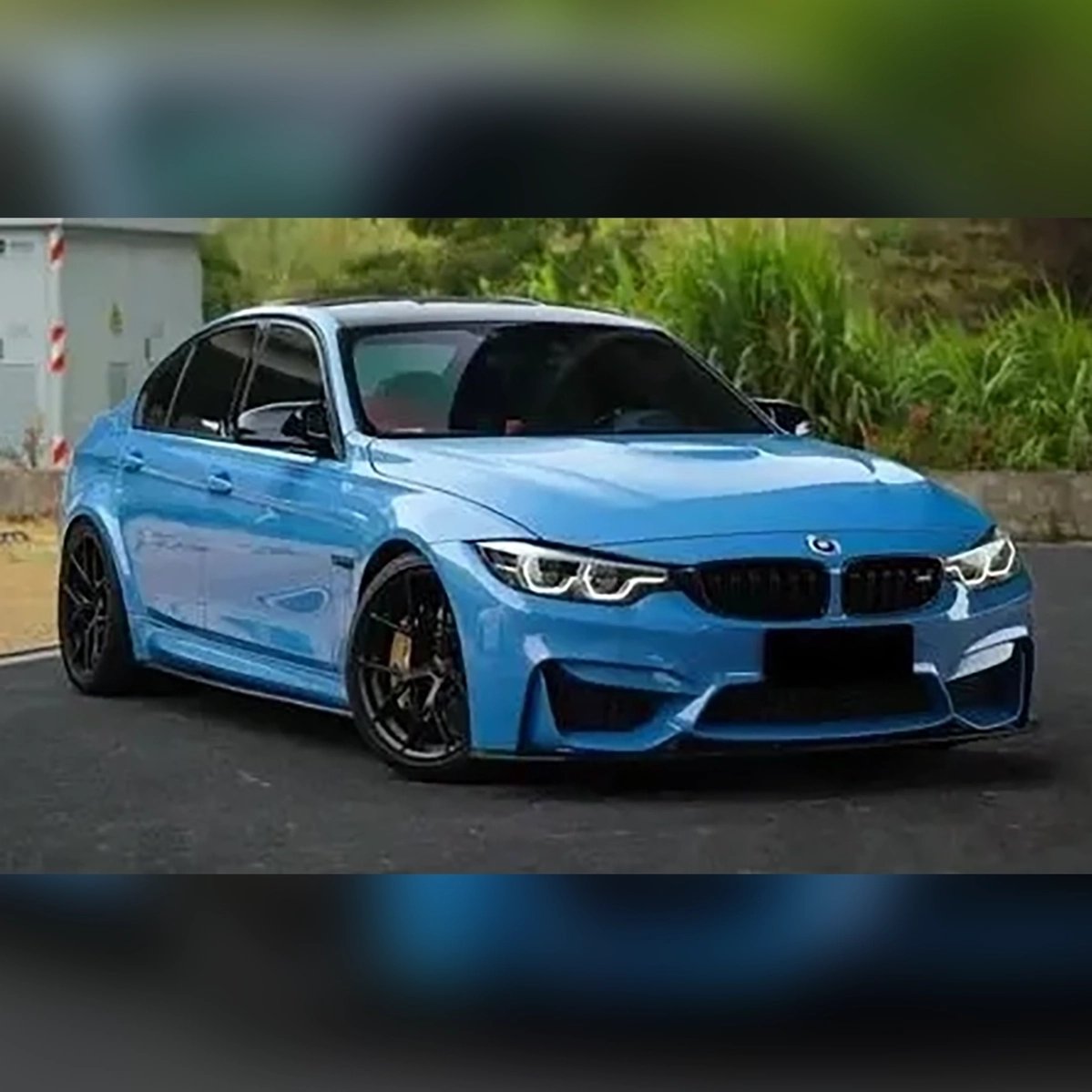 Miami blue