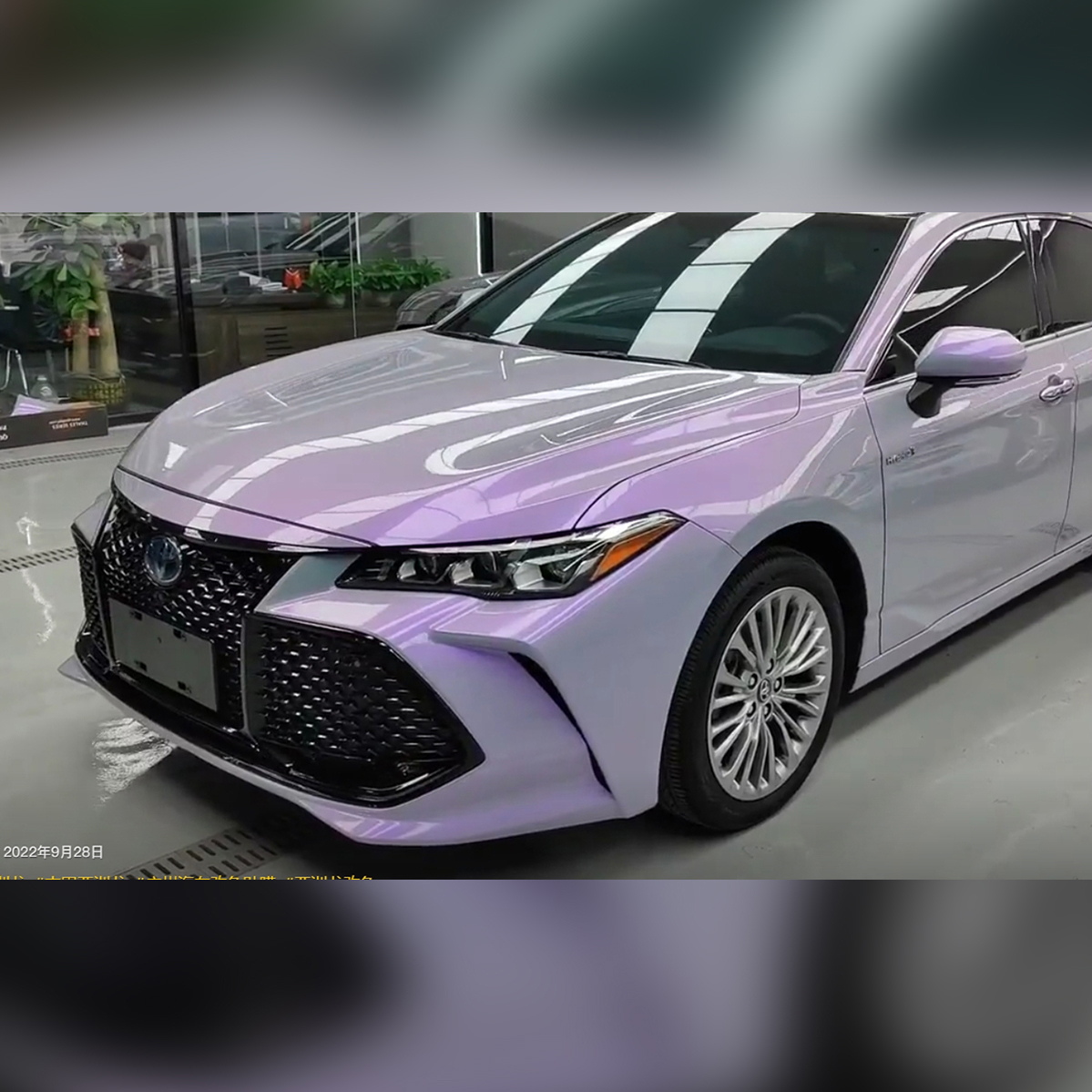 Grey Purple