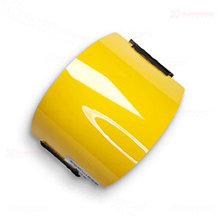 Sunflower yellow