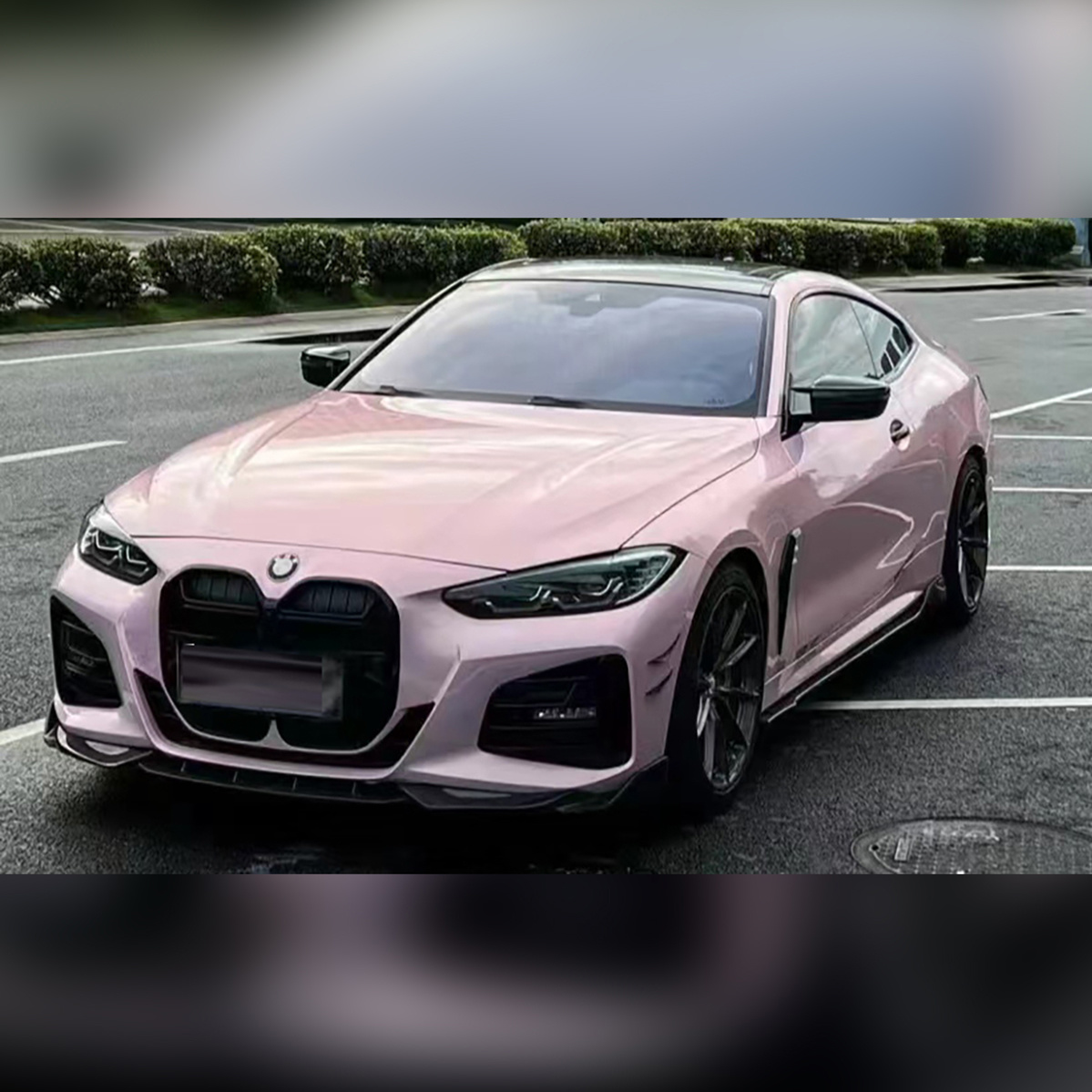 Champagne Pink