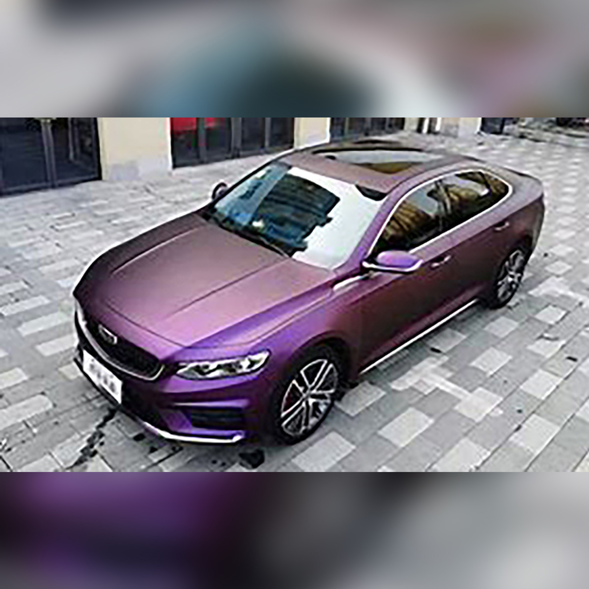 Black Purple