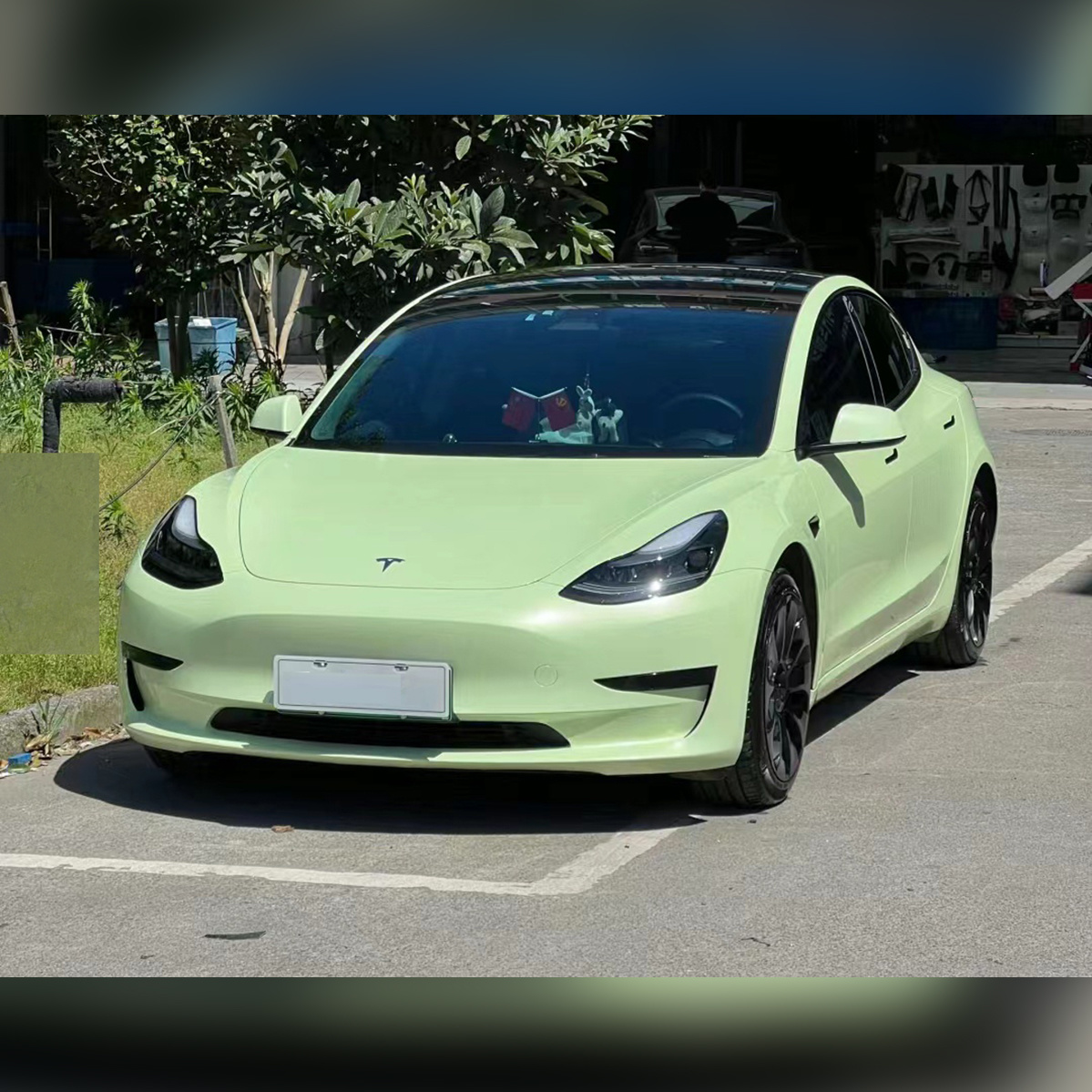 Avocado Green