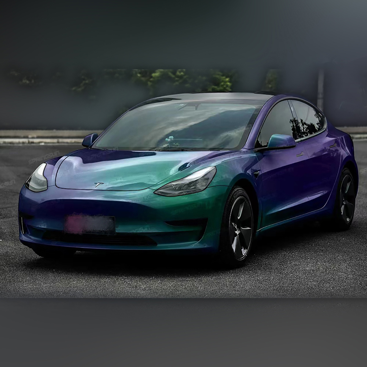 Purple Green