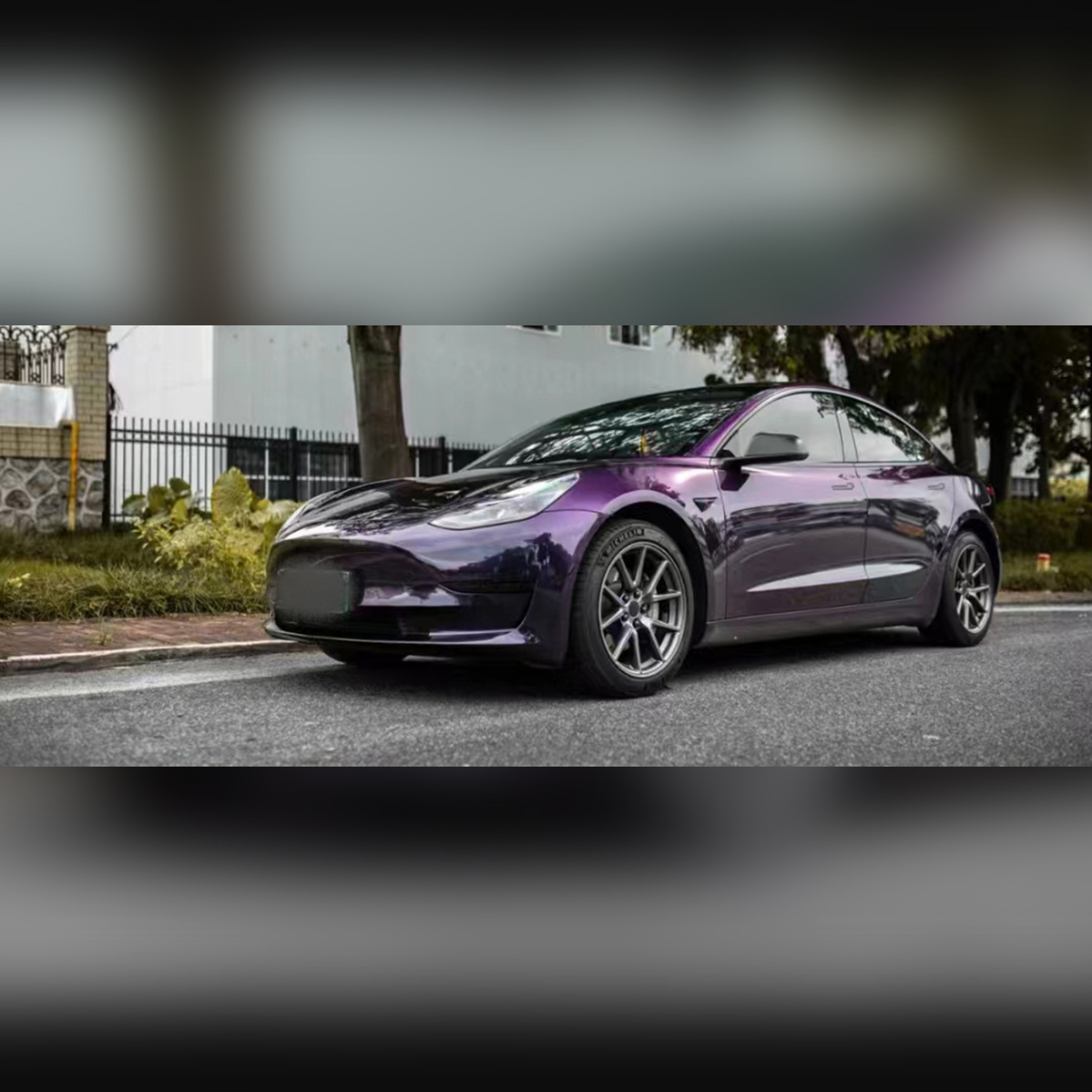 Midnight Purple