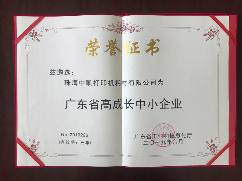 2019年広東省の高成長中小企業