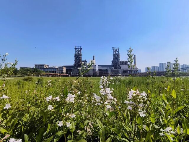 大運河杭鋼工業遺址綜保項目GS1303-14地塊公園綠地二期工程