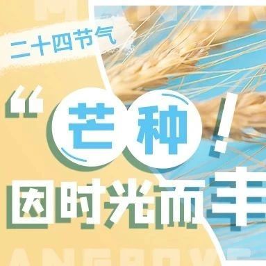 芒種?|?芒種不“種”簾，何以安放盛夏