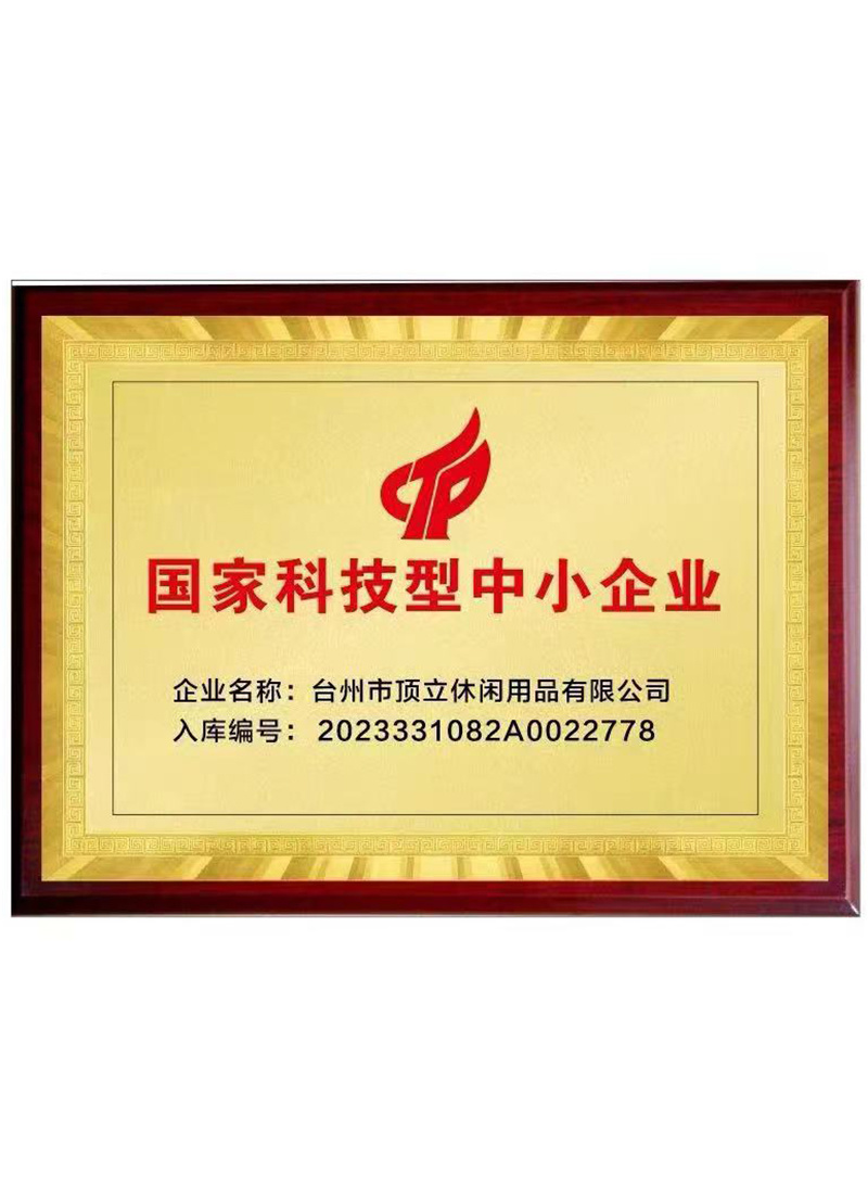 国家科技型中小企业