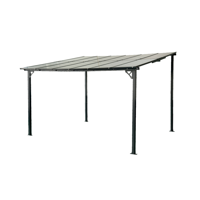 DLYB-8901 (8X10) Wall-mounted canopy
