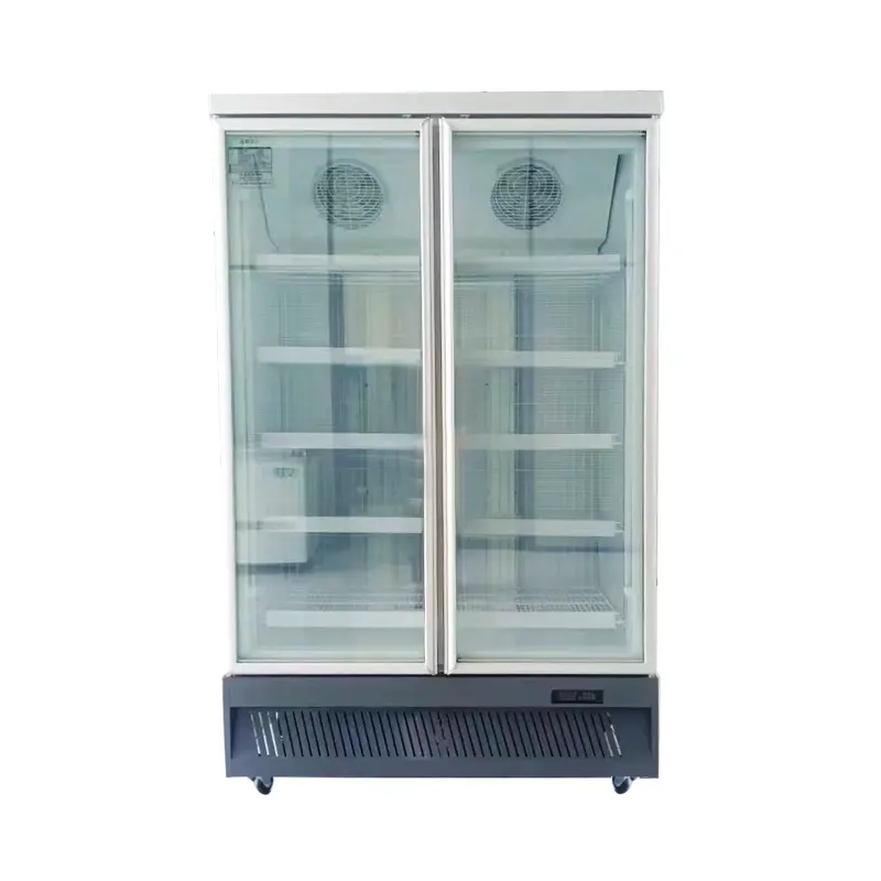 Double-door vertical air-cooled freezer