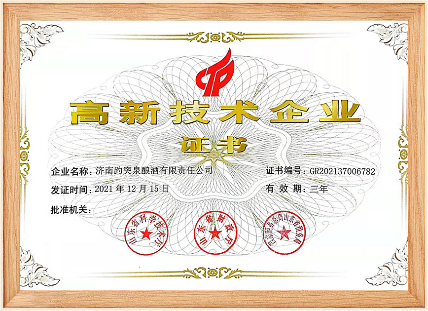 2021-高新技術(shù)企業(yè)