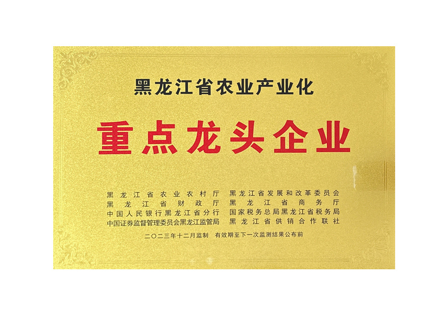 重點(diǎn)龍頭企業(yè)