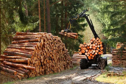 What are the big parts of the wood grabber?
