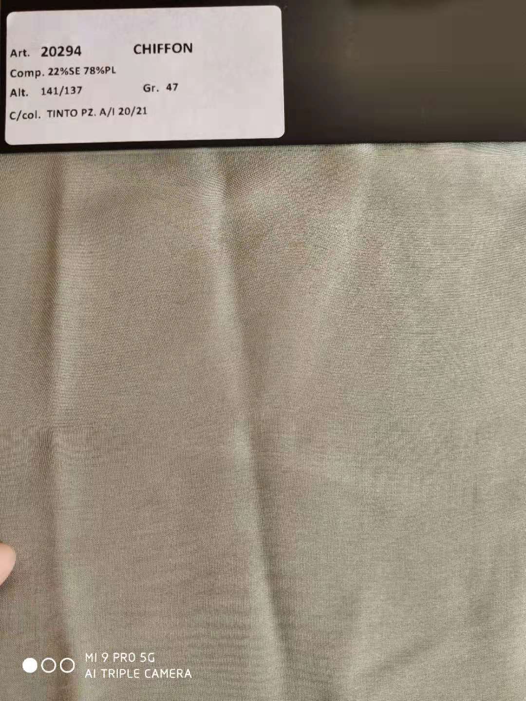 20294