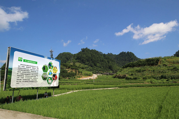 金晔自然农法基地欢迎您