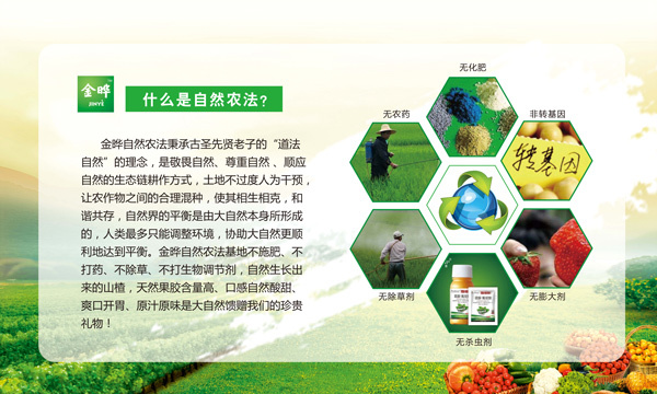金晔自然农法基地欢迎您