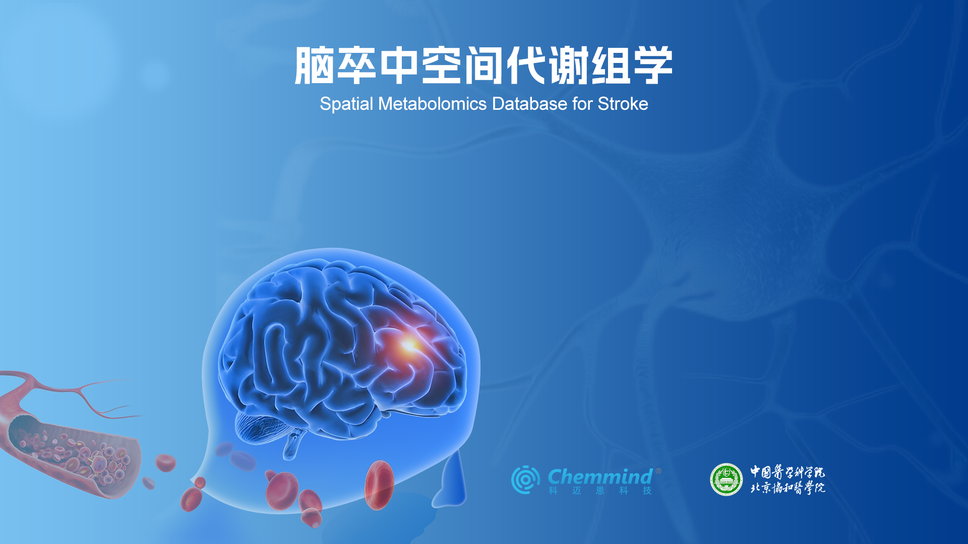 脑卒中空间代谢组学