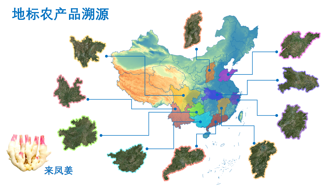 人工智能赋能来凤姜品质鉴别