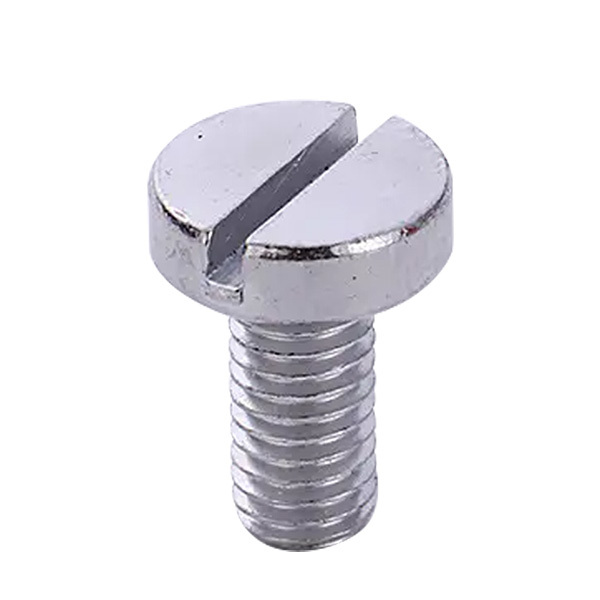 Slotted Screws