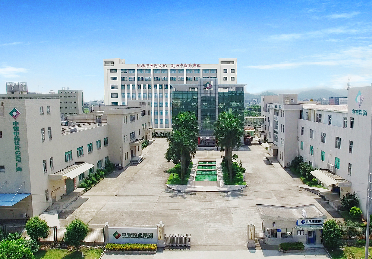 Zhongshan Zhongzhi Pharmaceutical Group Co., Ltd. - Production Workshop