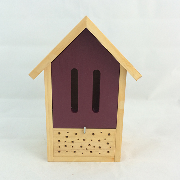 Insect house34