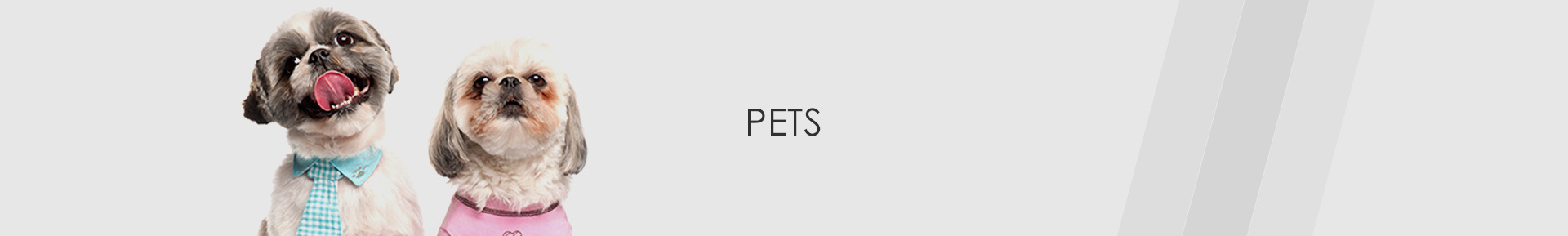 pet
