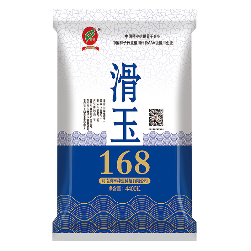 滑玉168