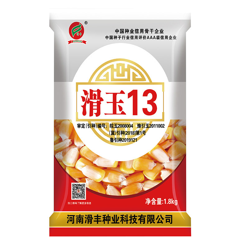 滑玉13