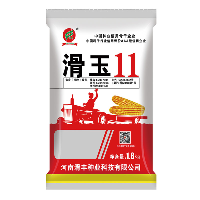 滑玉11