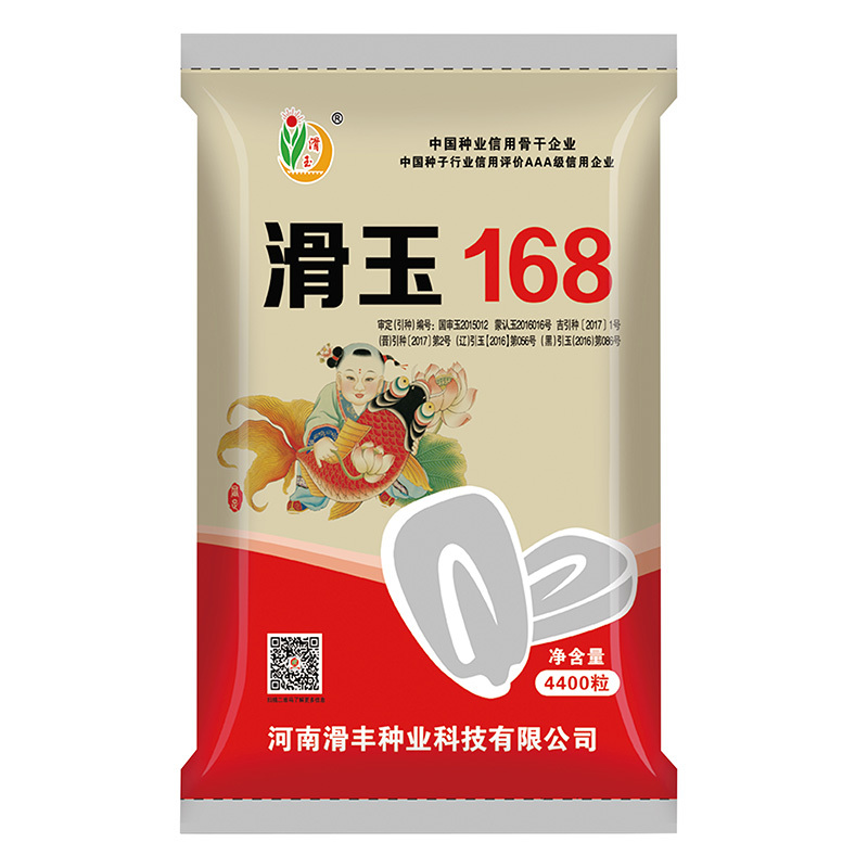 滑玉168