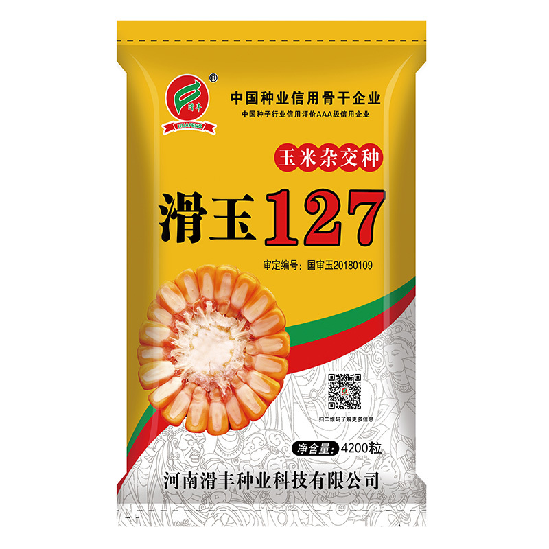 滑玉127