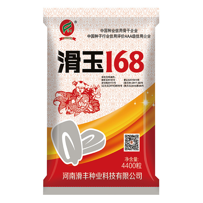 滑玉168