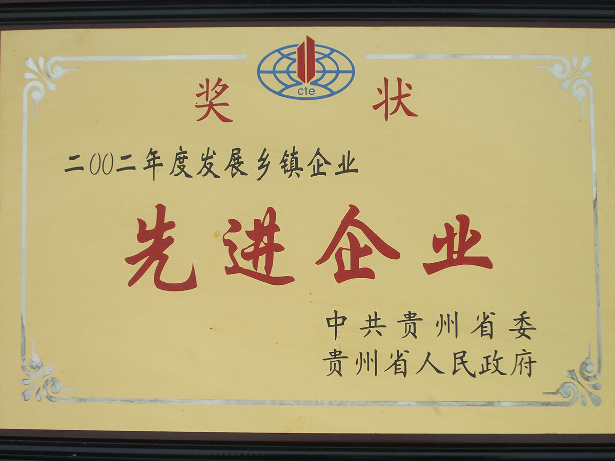 先進(jìn)企業(yè)