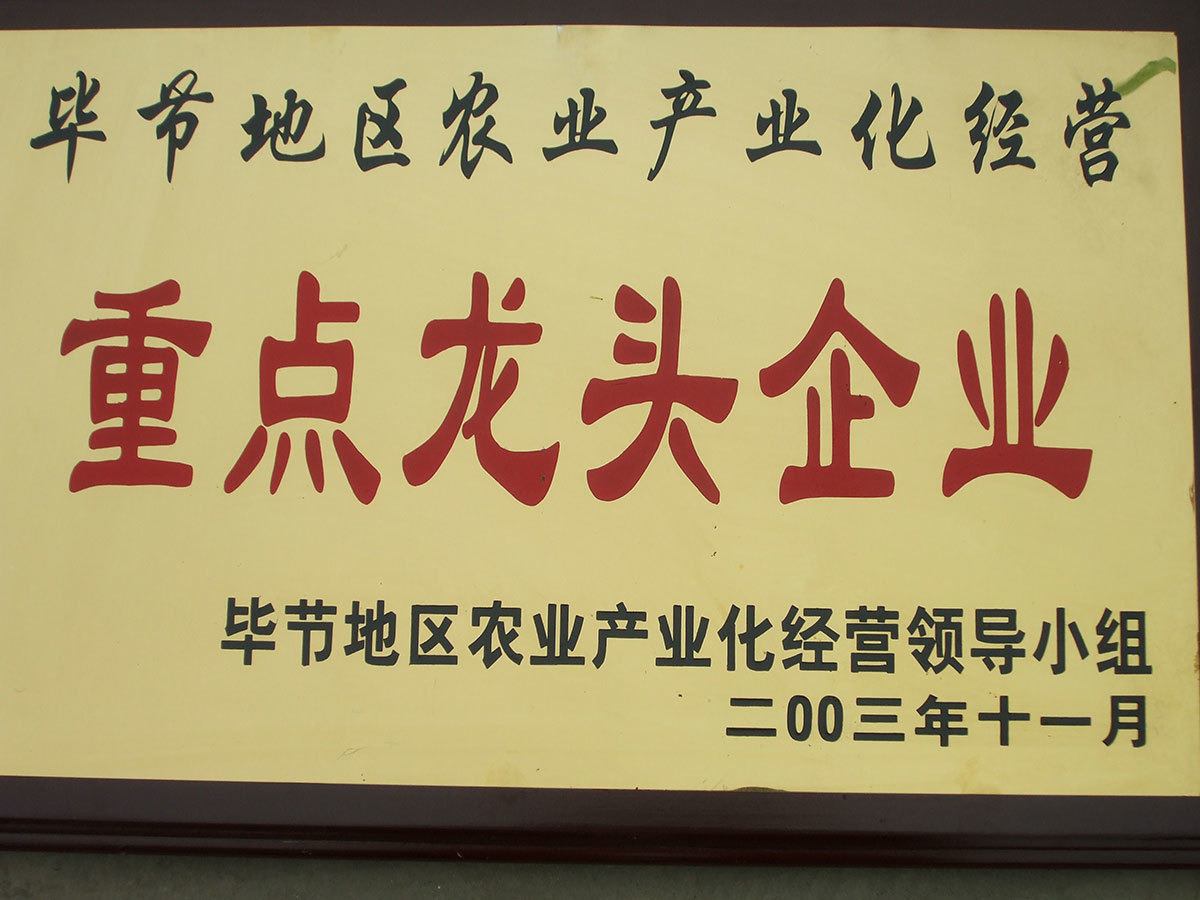 200311重點(diǎn)龍頭企業(yè)