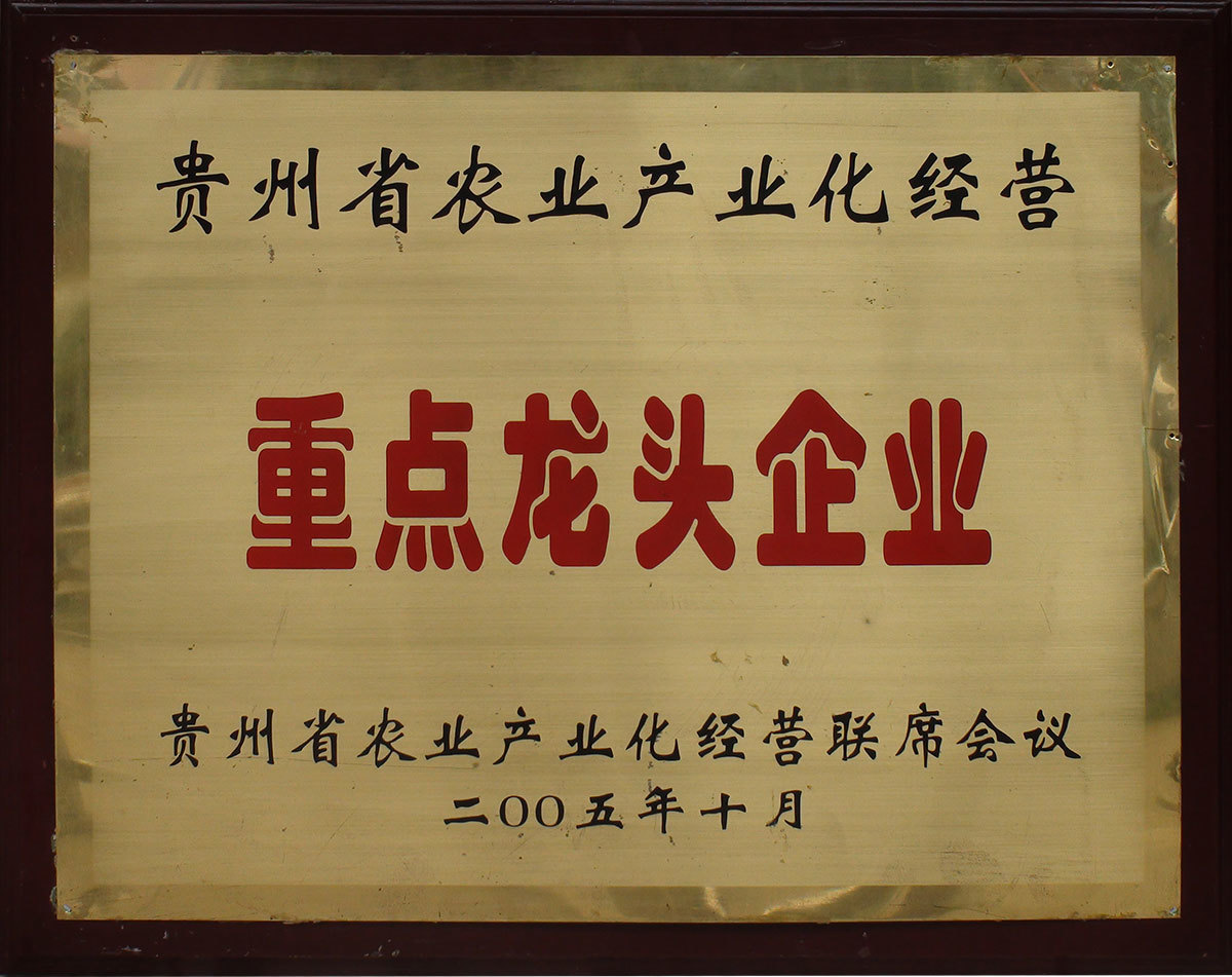 200510重點(diǎn)龍頭企業(yè)