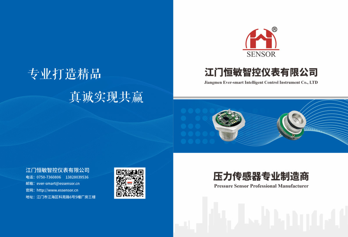 Professional manufacturer of pressure sensors