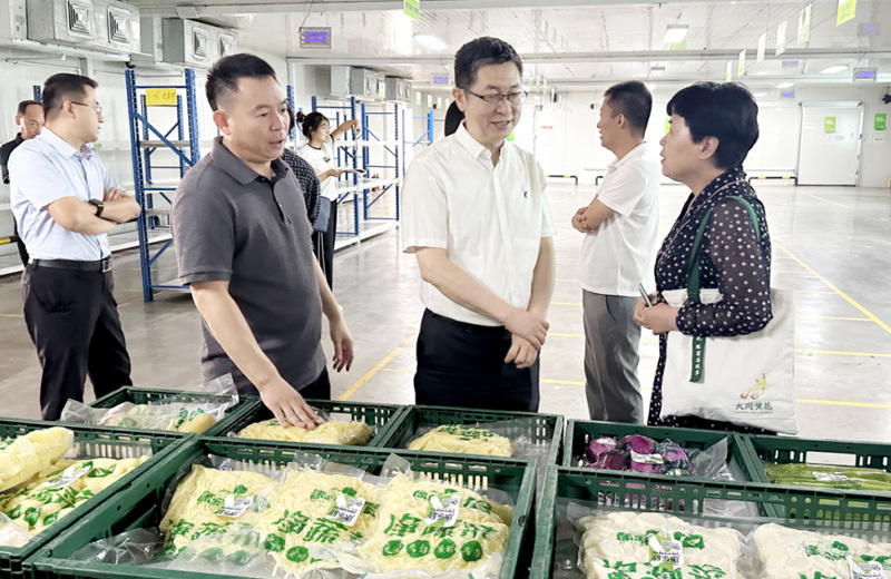 農業農村部及省農業農村廳市場處相關領導深入鴻新集團實地調研助力產業發展