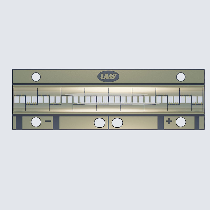 C6019