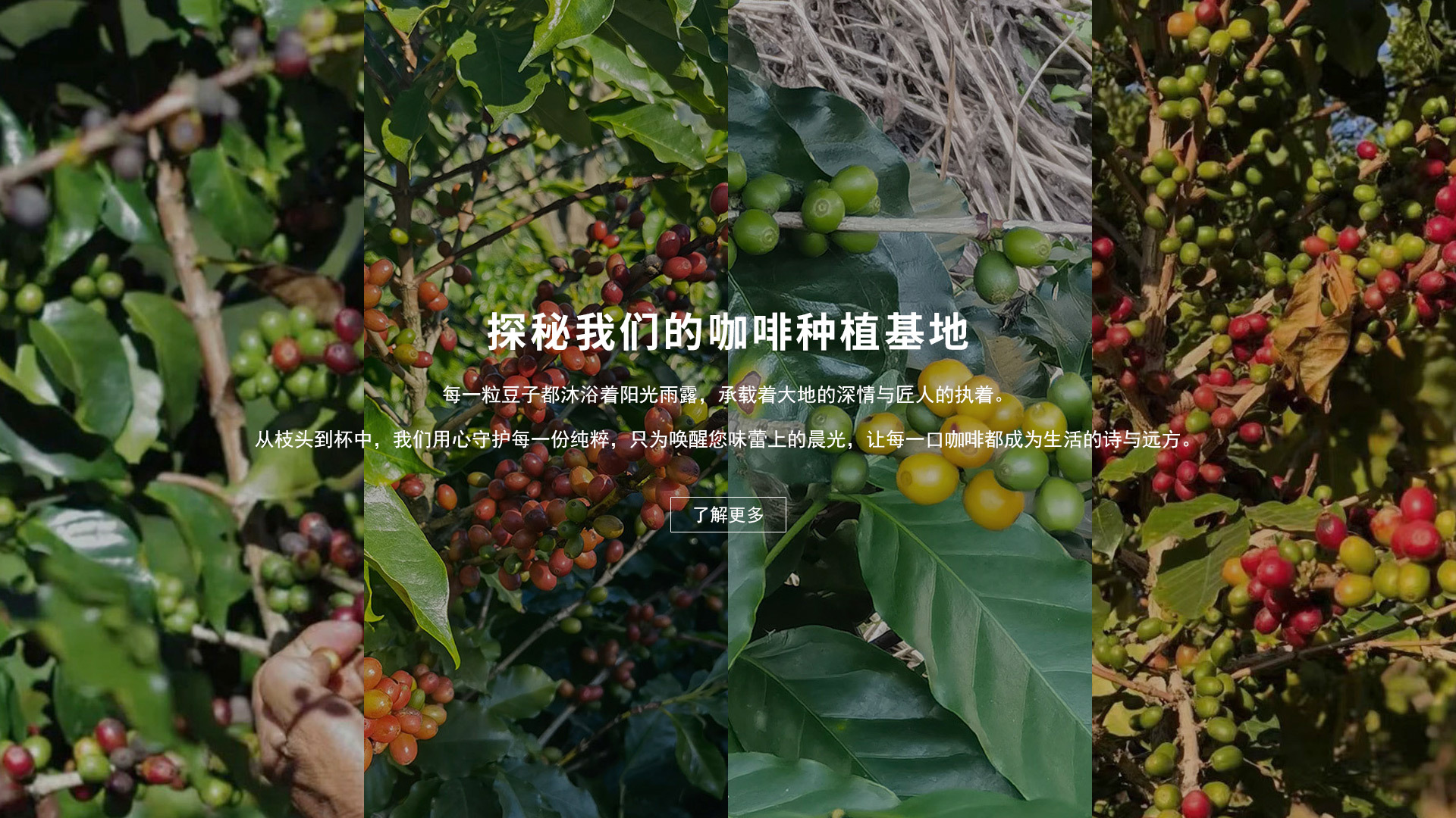 種植基地