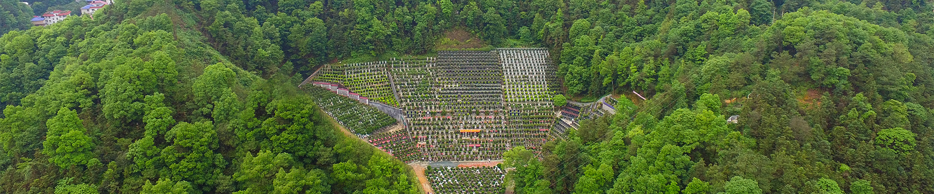 關(guān)于陵園