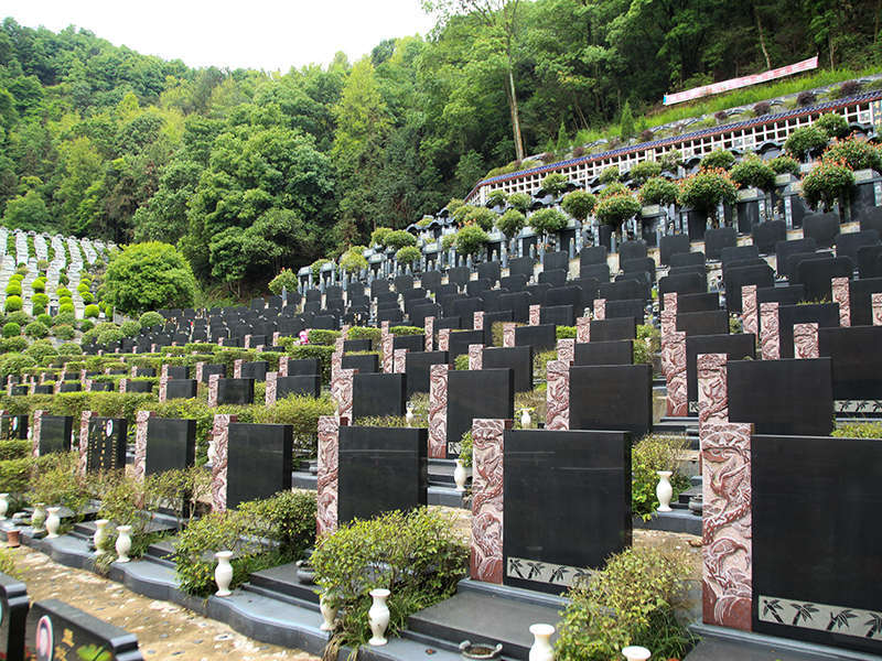 陵園風(fēng)光