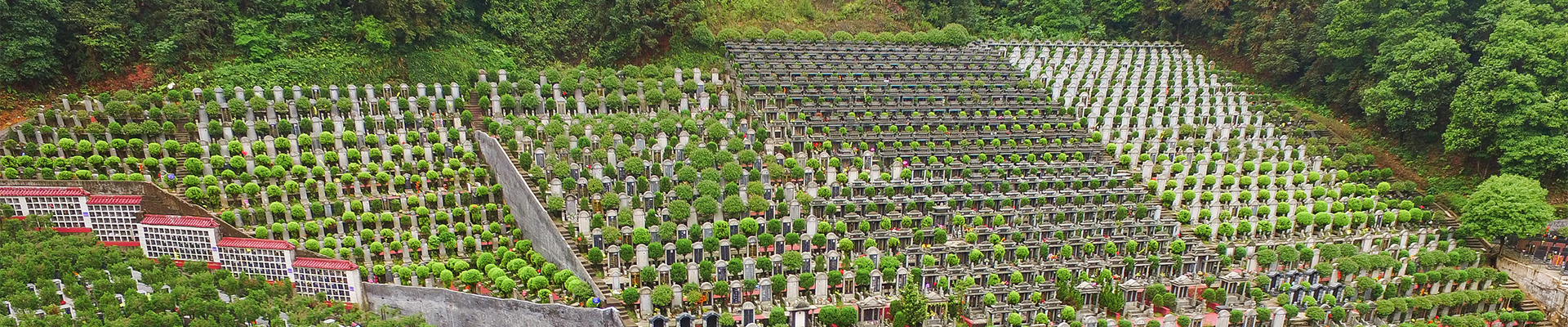 陵園風(fēng)光