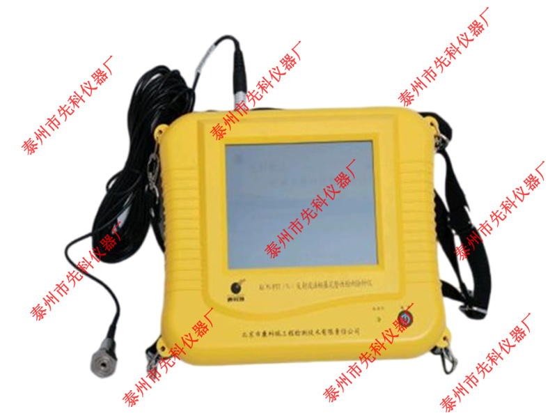 PIT-N pile dynamic testing instrument PIT-N pile dynamic testing instrument