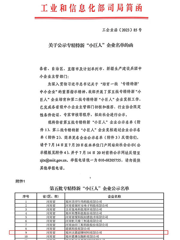 国家专精特新小巨人企业认定