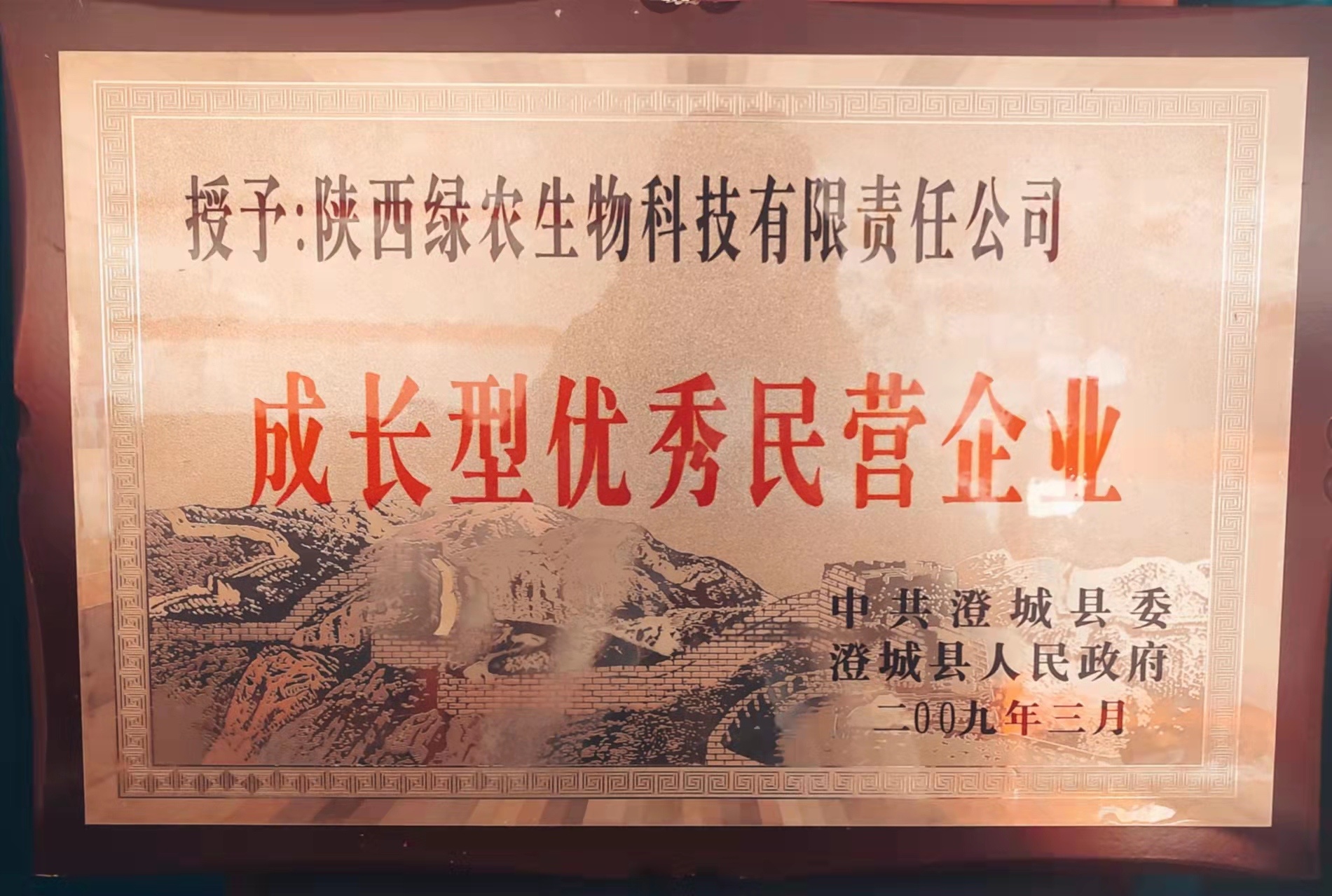 成長(zhǎng)型優(yōu)秀民營(yíng)企業(yè) 成長(zhǎng)型優(yōu)秀民營(yíng)企業(yè)