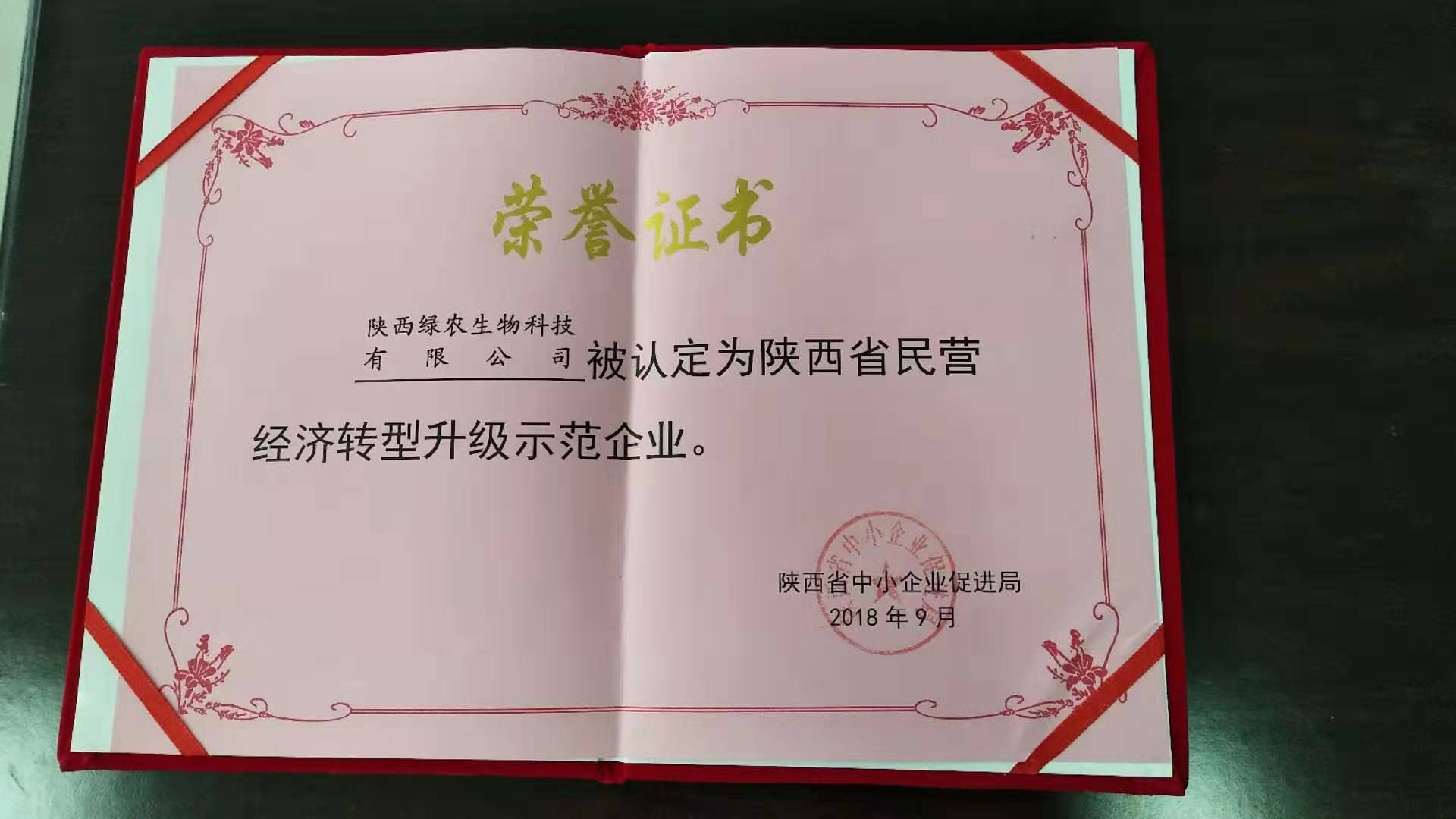 民營(yíng)經(jīng)濟(jì)轉(zhuǎn)型示范企業(yè) 民營(yíng)經(jīng)濟(jì)轉(zhuǎn)型示范企業(yè)